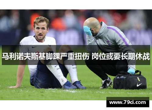 马利诺夫斯基脚踝严重扭伤 岗位或要长期休战